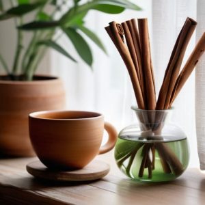 Tips on how to get rid of household odors.