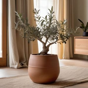 Minimalist home tips for cozy spaces.